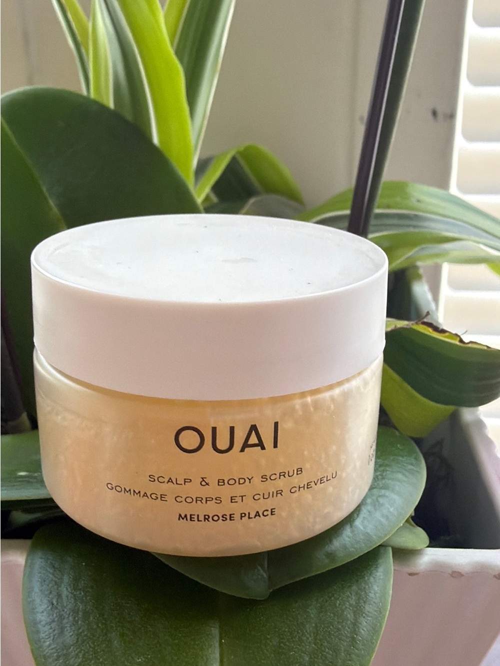 OUAI Scalp & Body Scrub - Pale Yellow Jar